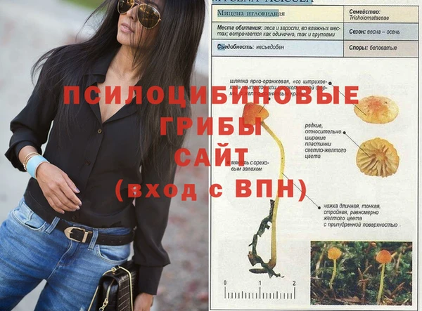 меф Алексеевка