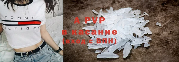 гидра Покачи